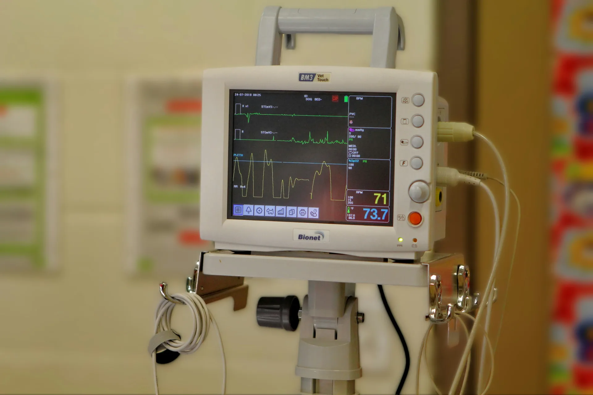 Veterinary diagnostics at Jordan Bay Animal Hospital in Raymond, ME