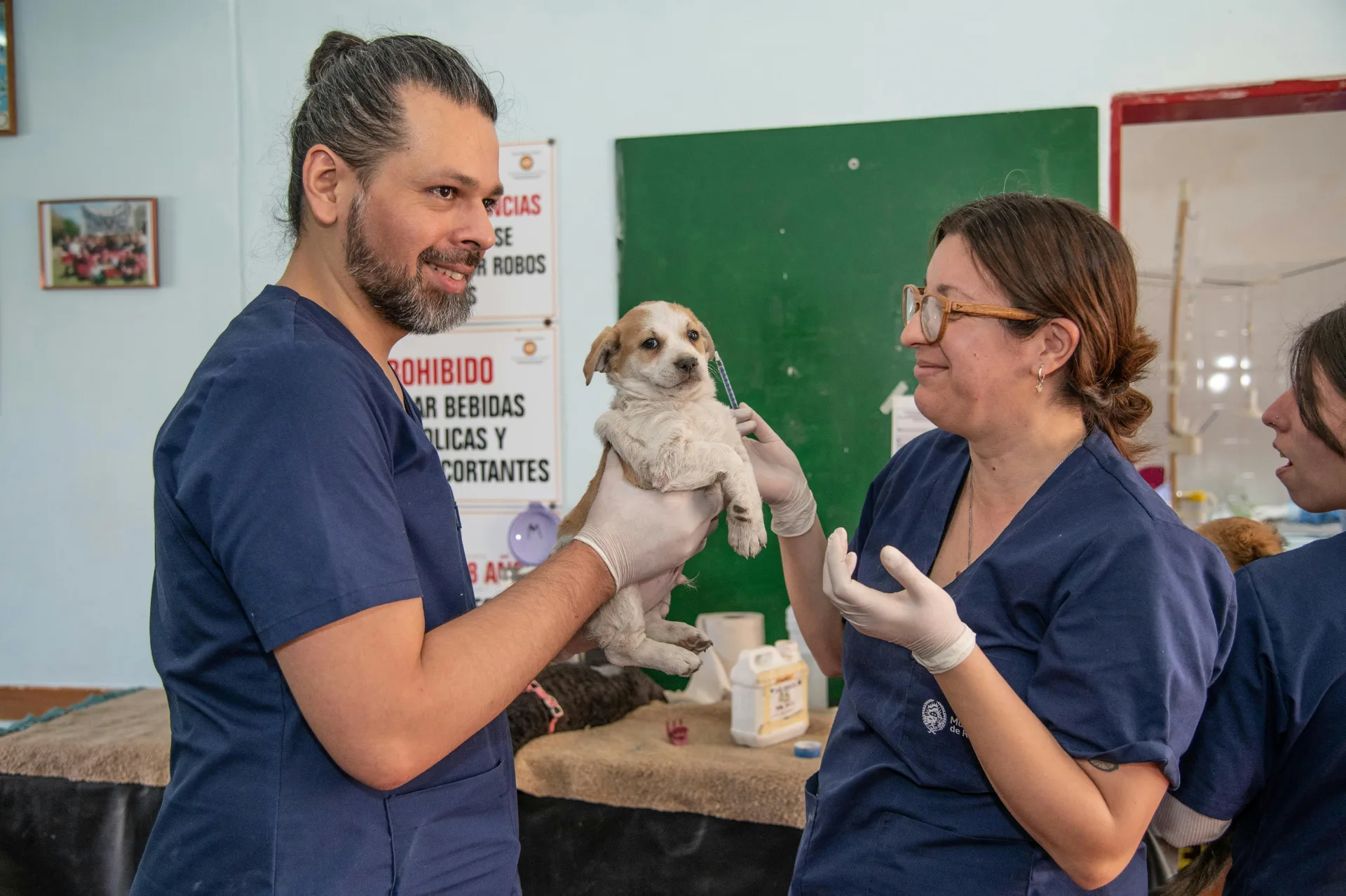 Veterinary team caring for a puppy